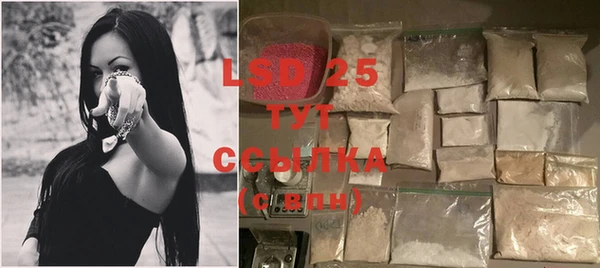индика Богданович