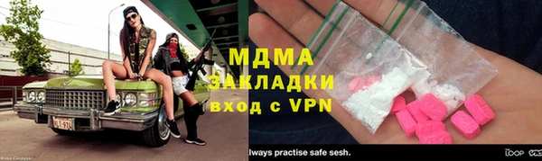 индика Богданович