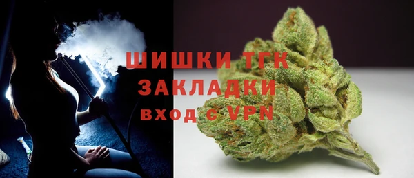 винт Верея