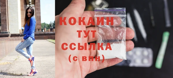 индика Богданович