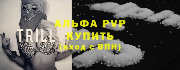 индика Богданович