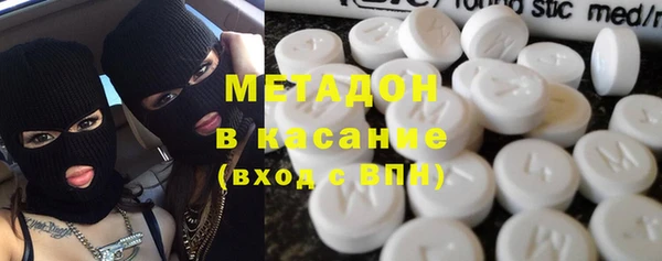 индика Богданович