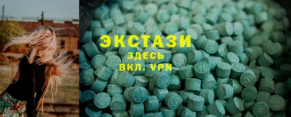 индика Богданович