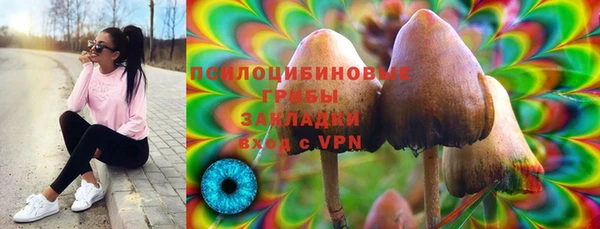 стафф Баксан