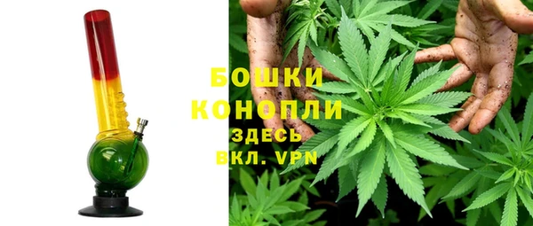 стаф Бронницы